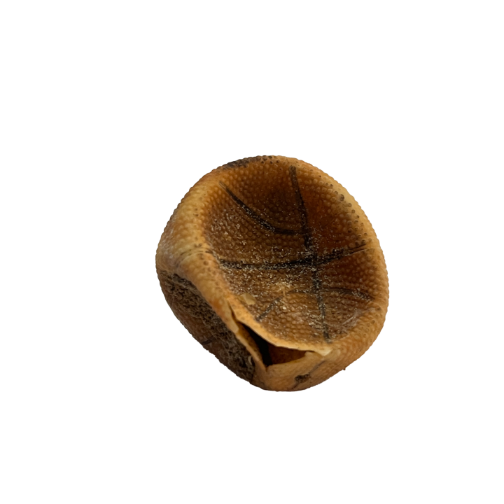 bal_01