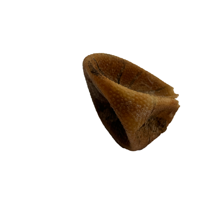 bal_011