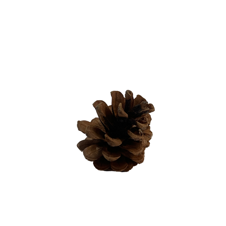 den_011