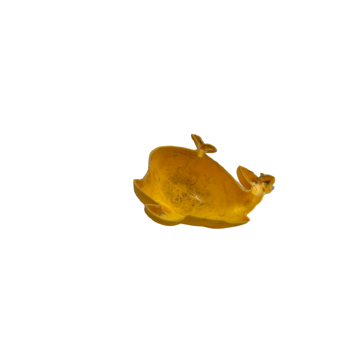 plasticwalvis_011