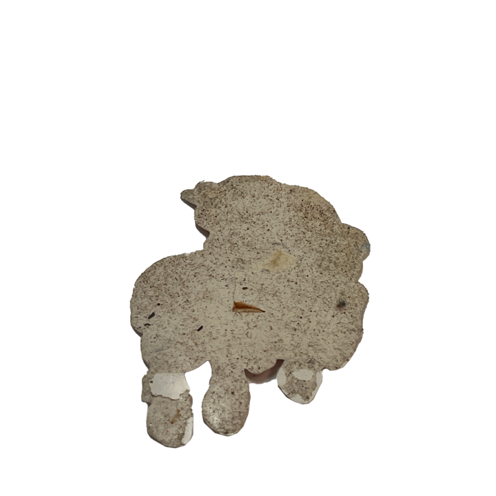 pony_011