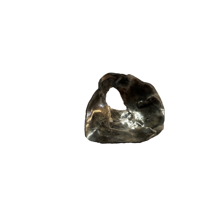 schelp_011_9