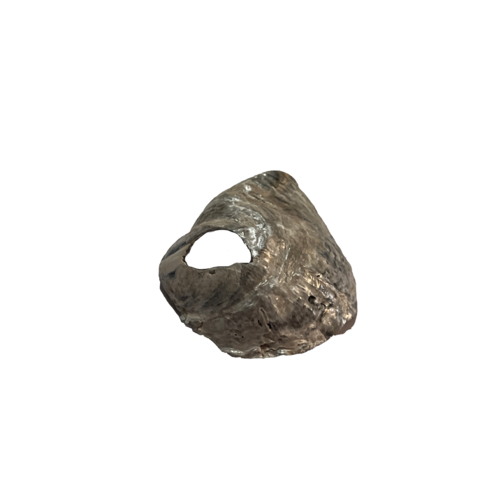 schelp_01_9